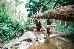 BIB: 
                            <button type="button" onclick="openModal(25375892)" class="btn btn-primary btn-sm float-right btn-popup" data-toggle="modal" data-target=".modal-high-quality">
                        <i class="fas fa-shopping-cart"></i> Add to Cart
                    </button>
                                            <button type="button" onclick="isThisMe(25375892, true)" class="btn btn-success btn-sm float-right btn-popup btn-isme hidden" data-toggle="tooltip" data-placement="bottom" title="นี่คือรูปของคุณใช่ไหม คลิกที่นี่เพื่อเอาเข้าอัลบั้ม">
                        <i class="fas fa-plus"></i> Add to album
                    </button>
                    <button type="button" onclick="isThisMe(25375892, false)" class="btn btn-warning btn-sm float-right btn-popup btn-isnotme hidden">
                        <i class="fas fa-ban"></i> Remove from album
                    </button>